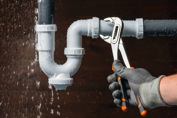 Professional Plumbing technician working in New Germany, MN